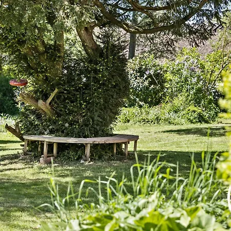 Cozy In With Kitchen Tatil Evi